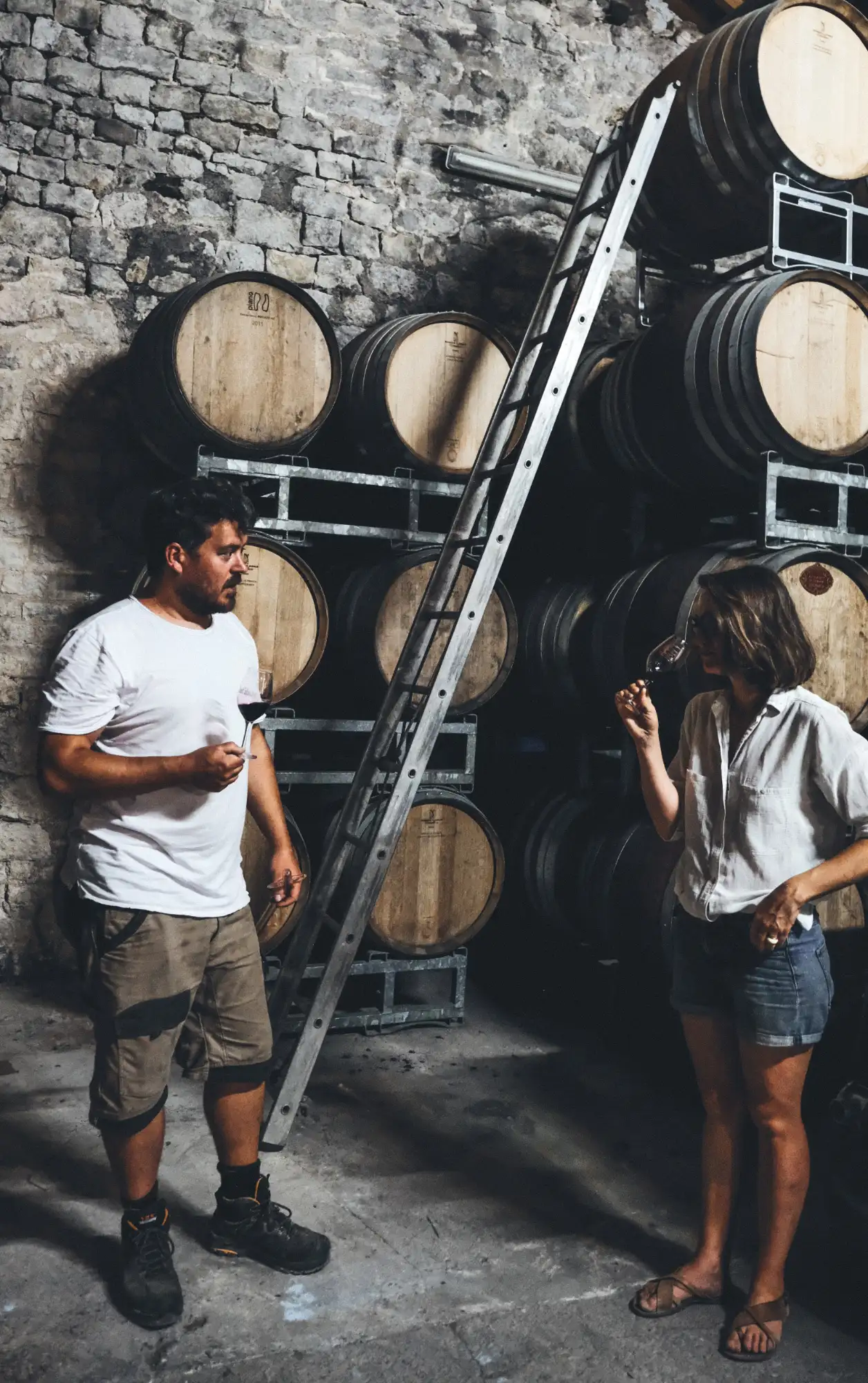 Dégustation dans la cave à vin